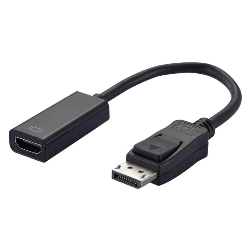 Ewent Adattatore Displayport DP – HDMI TIPO A M/F 0.15 mm EC1455 - Immagine 1