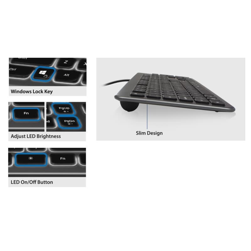 Ewent Tastiera USB Retroilluminata CON Digitazione Silenziosa EW3268